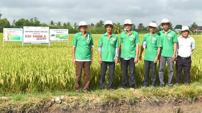 Nông dân ĐBSCL tham quan mô hình sản xuất lúa giống Đài Thơm 8 của Vinarice đầu tư. Ảnh: Minh Đảm.