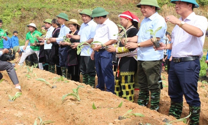 Các lãnh đạo cùng người dân phường Hàm Rồng trồng cây dược liệu