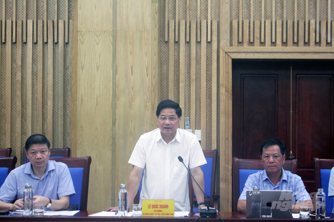 Deputy Minister Le Quoc Doanh had a working session with Nghe An People's Committee on the progress of FMCR project implementation. Photo: Cong Dien.