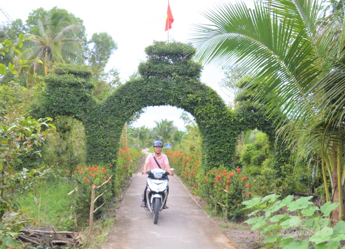 Để làm chiếc cổng Tam Quan hoàn toàn bằng cây xanh, ông Nguyễn Văn Hoàng phải mất hơn 5 năm để tạo dáng, tỉa tót thường xuyên, góp phần làm đẹp cảnh quan môi trường xanh, sạch, đẹp tuyến đường giao thông nông thôn. Ảnh: Trung Chánh.