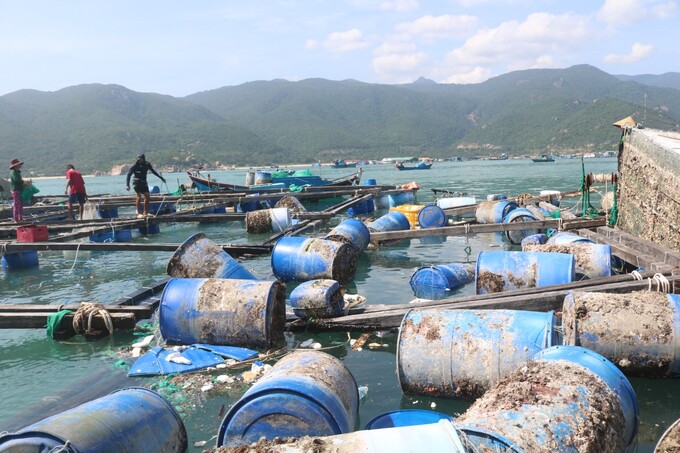 Aquaculture fishermen in Binh Hung see cages broken after the storm. Photo: KS.
