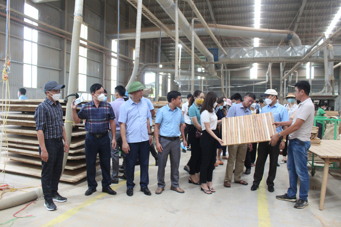 IMG_3411 mô hình chế biến gỗ xuất khẩu tại huyện Cam Lộ tỉnh Quảng Trị
