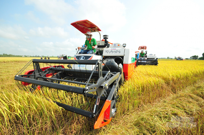 Mechanisation and infrastructure will be invested more synchronously in high-quality specialised rice production areas. Photo: Le Hoang Vu.