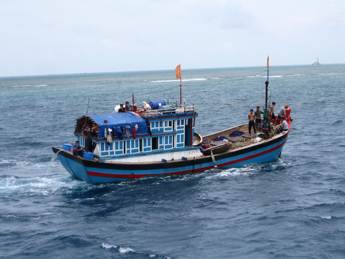 Tàu  cá của ngư dân Bình Định hoạt động ngoài khơi xa. Ảnh: V.Đ.T.