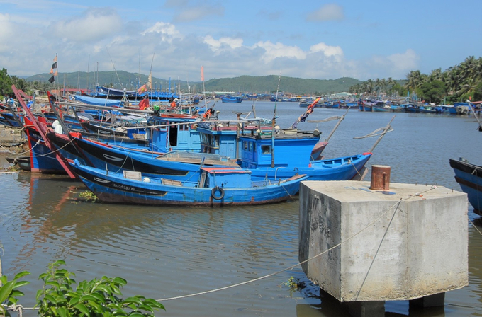 Tàu cá của ngư dân thị xã Hoài Nhơn (Bình Định) neo đậu tại Cảng cá Tam Quan. Ảnh: V.Đ.T.