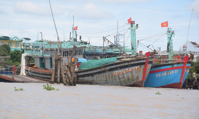 Tàu của ngư dân Bình Định neo đậu trên sông Tiền thuộc phường Tân Long (TP Mỹ Tho, Tiền Giang). Ảnh: V.Đ.T.