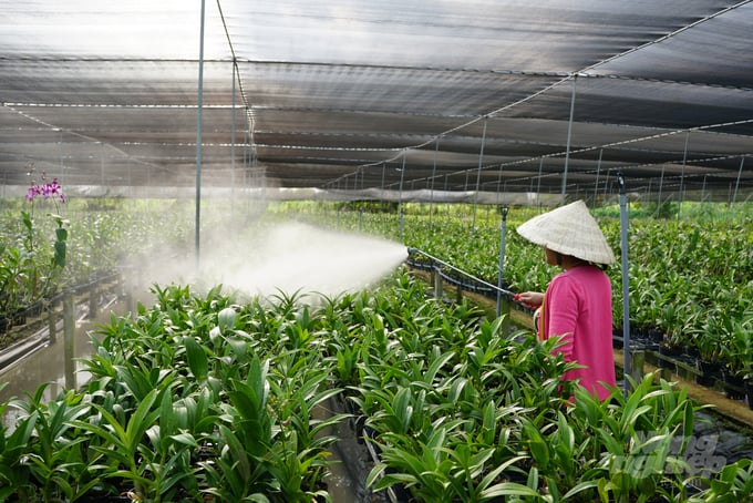 Mô hình liên kết trồng lan của HTX Hoa lan Việt đã tạo việc làm, thu nhập cao và ổn định cho các thành viên.