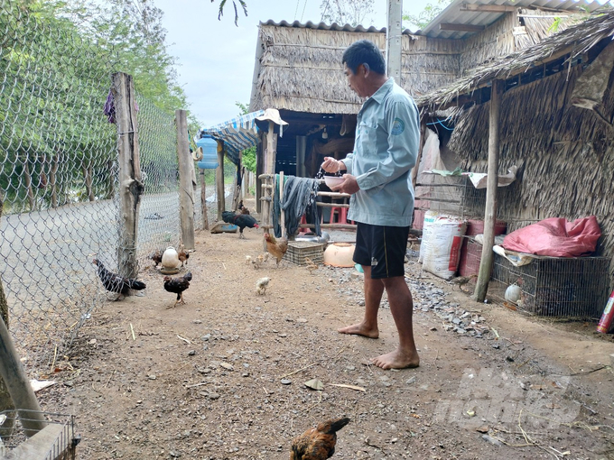 Ông Lâm Văn Chín duy trì đàn gà từ chương trình hỗ trợ qua 3 năm nay.