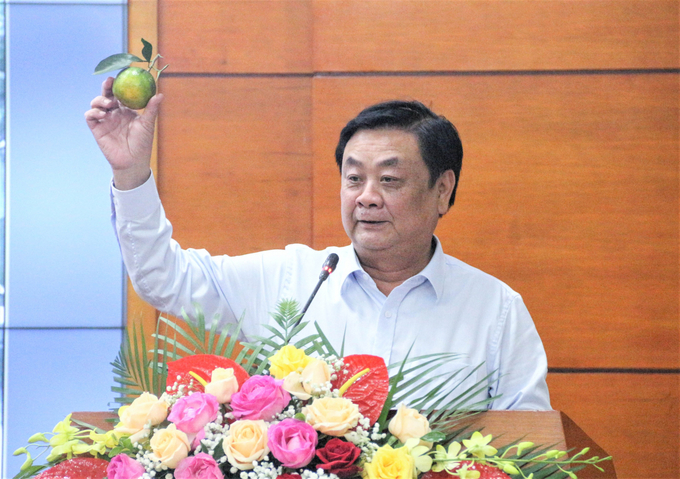 Bộ trưởng Lê Minh Hoan mượn hình ảnh trái quýt Unshu của Nhật Bản để mở đầu phần phát biểu tại Hội nghị. Ảnh: Phạm Hiếu.