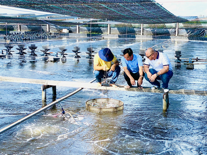 New technology to raise the bar in shrimp farming – Factories in Vietnam