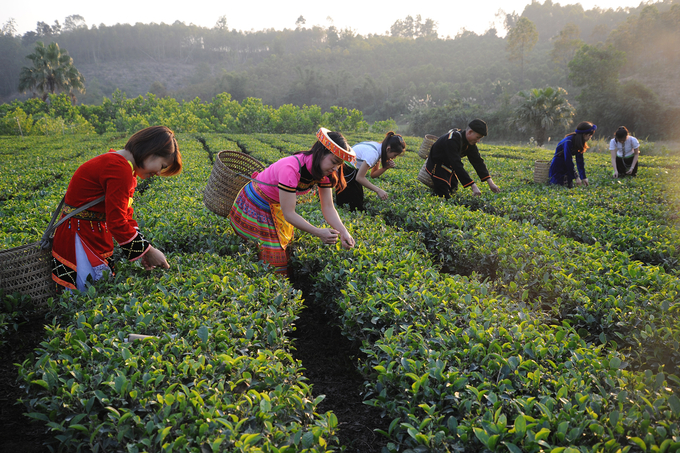 Digital transformation will create fresh air for rural tourism in the coming time. Photo: Pham Hieu.