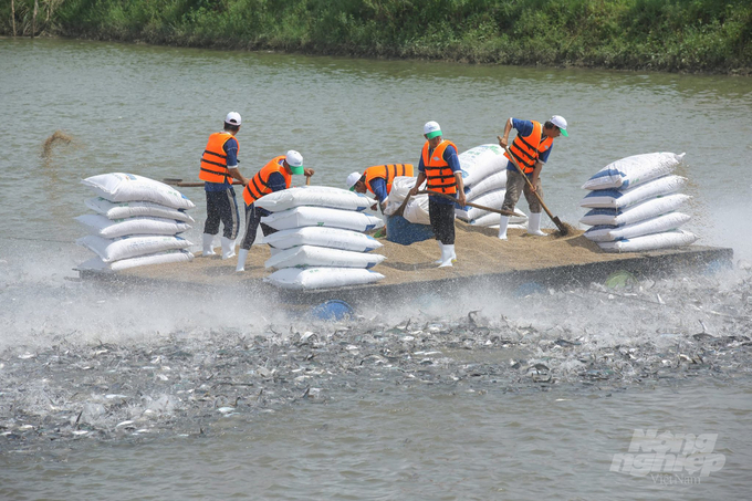 Công ty CP Vĩnh Hoàn (tỉnh Đồng Tháp) là doanh nghiệp đi đầu trong việc chế biến phụ phẩm thủy sản thành bột cá - nguyên liệu cho thức ăn chăn nuôi. Ảnh: Minh Sáng. 