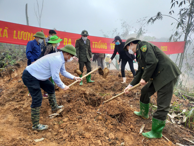 Lãnh đạo Chi cục Kiểm lâm tỉnh Yên Bái và huyện Trấn Yên trồng tre Bát Độ cùng người dân xã Lương Thịnh.