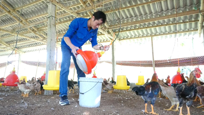 Ảnh 2: Anh Lương Văn Dương đang kiểm tra vệ sinh hệ thống máng uống tự động