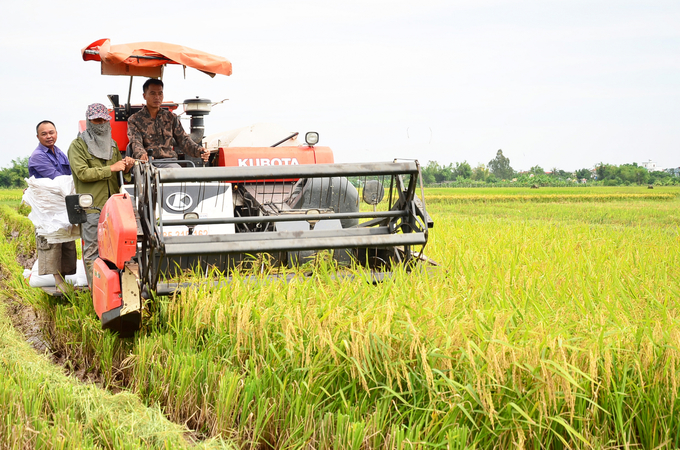 A machine like this equals 50-70 people harvesting by hand. Photo: Duong Dinh Tuong.