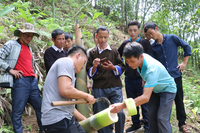 Ảnh 9. Người Mông ở huyện Mù Cang Chải đến thăm học tập cách trồng tre Bát Độ ở xã Hồng Ca