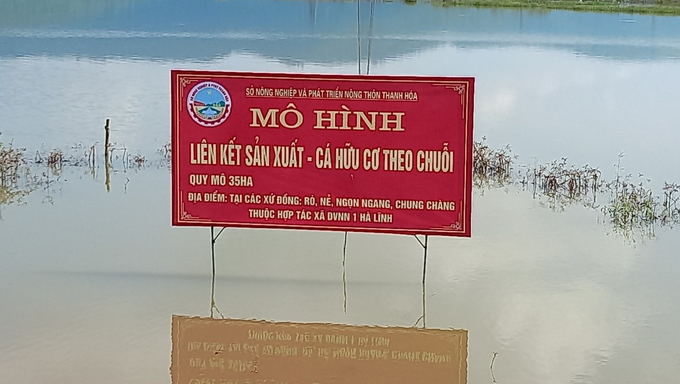 Mô hình chuỗi liên kết sản xuất 1 vụ lúa chét – cá truyền thống theo tiêu chuẩn VietGAP cho thu nhập cao tại xã Hà Lĩnh, huyện Hà Trung, tỉnh Thanh Hóa
