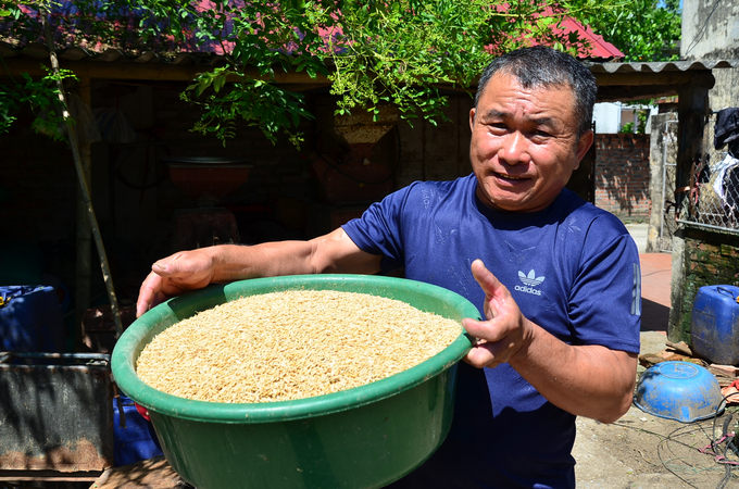 'Big farmer' Nguyen Van Xuyen carried out grains to prepare for rice milling. Photo: Duong Dinh Tuong.