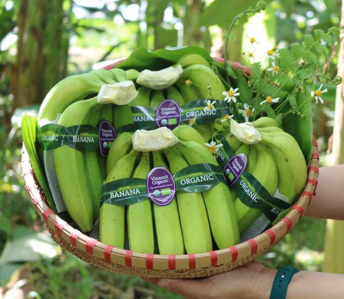 Vinamit Organic’s banana products.
