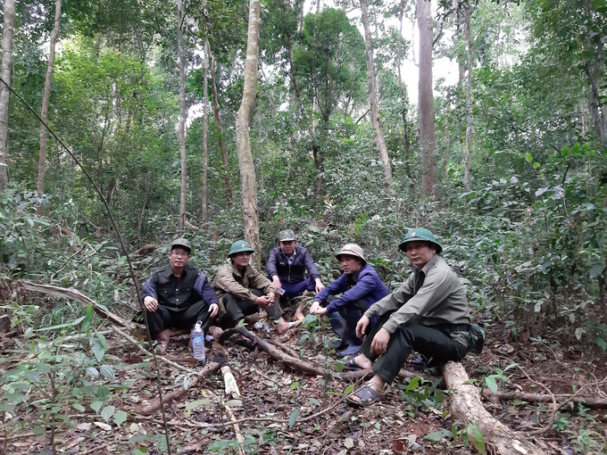 Ông Nguyễn Ngọc Đạo (ngoài cùng bìa phải), Chủ tịch Công ty Lâm nghiệp Sông Kôn (huyện Vĩnh Thạnh (Bình Định), trong 1 chuyến đi kiểm tra rừng. Ảnh: V.Đ.T.