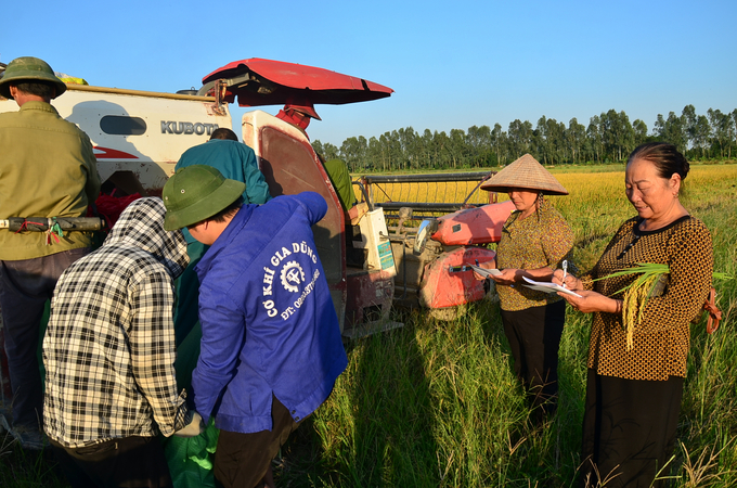 Mrs. Cham (far right) taking note of the amount of rice harvested. Photo: Duong Dinh Tuong.