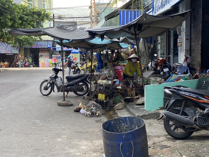 Mua bán gia cầm sống trên vỉa hè đường Võ Lai gần chợ Khu 6, TP. Quy Nhơn. Ảnh: ĐT.