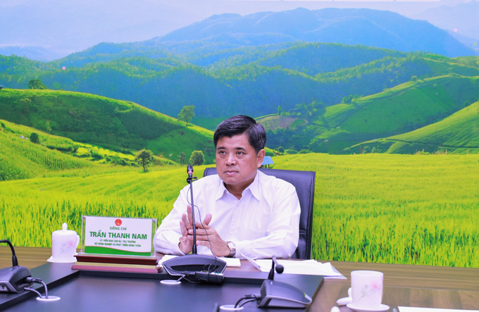 Deputy Minister Tran Thanh Nam chaired the discussion session on the Scheme for sustainable production of 1 million ha of high quality rice in the Mekong Delta.