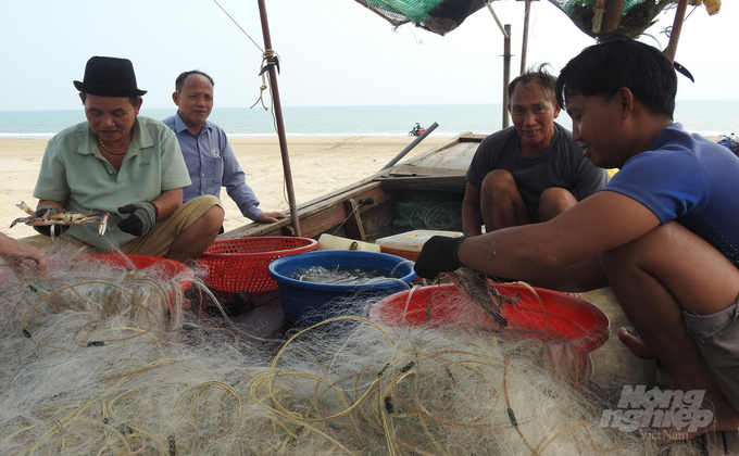 Hiện nay tổ đồng quản lý nghề cá ven bờ vừa khai thác vừa tham gia bảo vệ nguồn lợi thuỷ sản. Ảnh: Thanh Nga.