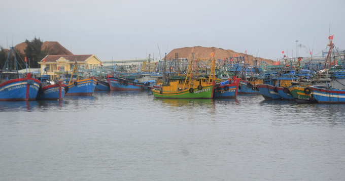 Luồng ra vào khu neo đậu đầm Thị Nại phải đi qua Cảng cá Quy Nhơn (Bình Định) có diện tích mặt nước rất chật hẹp nên tàu cá gặp rất nhiều khó khăn khi di chuyển. Ảnh: V.Đ.T.
