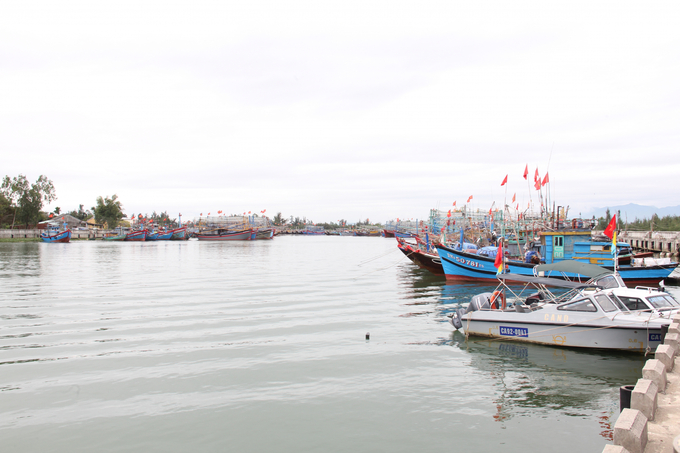 Hiện nay, các cảng cá ở tỉnh Quảng Nam mới chỉ đáp ứng được 70% như cầu neo đậu, tránh trú bão của tàu thuyền. Ảnh: L.K.