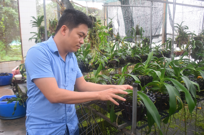 Thạc sĩ Lê Đức Dũng, Phó trưởng Bộ môn Rau hoa cây cảnh của Viện KHKTNN DHNTB đang chăm sóc những chậu lan Đai Châu. Ảnh: V.Đ.T.