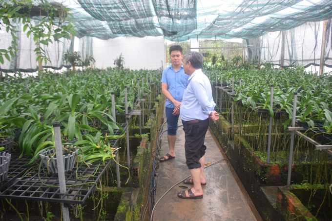 TS Hồ Huy Cường (áo trắng), Viện trưởng Viện KHKTNN DHNTB, kiểm tra vườn lan Đai Châu. Ảnh: V.Đ.T.