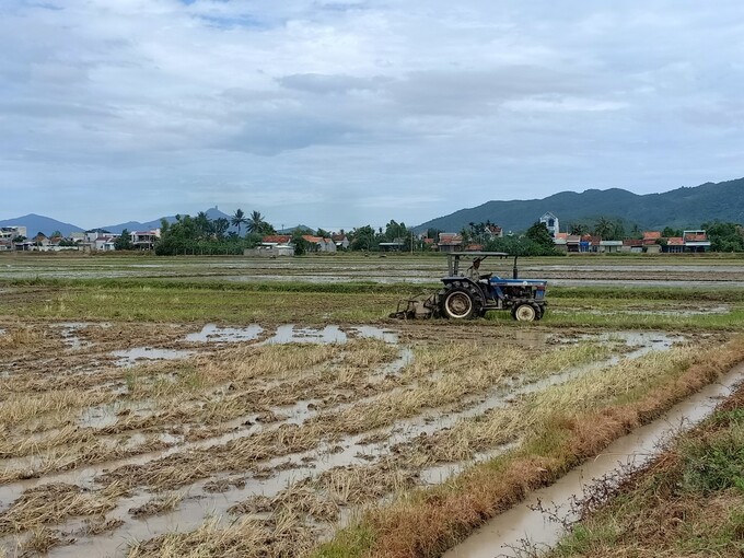 Khâu làm đất cũng rất quan trọng trong sản xuất lúa. Ảnh: KS.