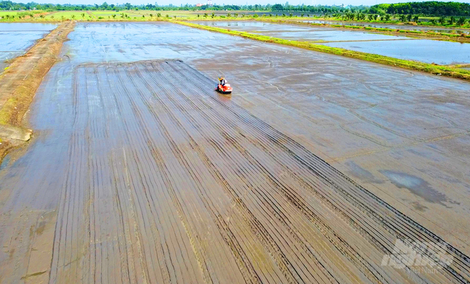 Vùng ĐBSCL chiếm 52% diện tích gieo trồng lúa của cả nước và đã phát huy lợi thế là vựa lúa lớn nhất khi đóng góp hơn 90% sản lượng gạo xuất khẩu của Việt Nam. Ảnh: Lê Hoàng Vũ.