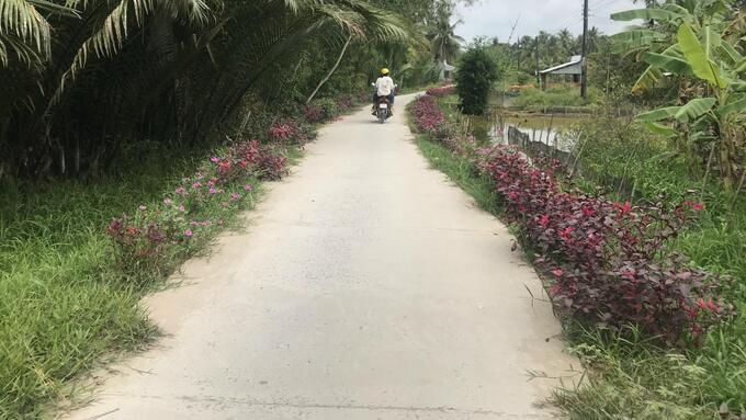 Đường giao thông sạch đẹp tại xã Tam Ngãi, huyện Cầu Kè. Ảnh: Minh Đảm.