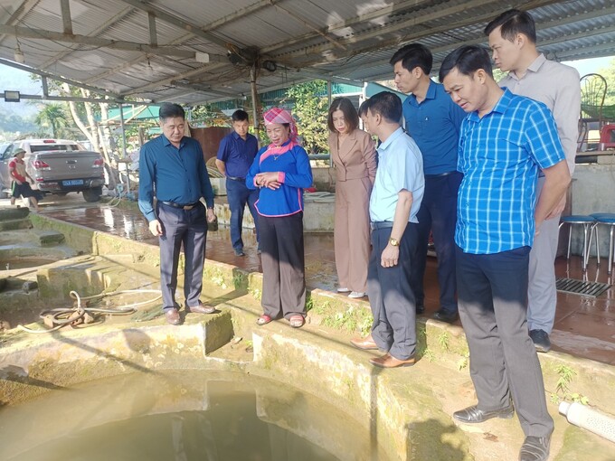 Ông Lê Quốc Thanh, Giám đốc Trung tâm Khuyến nông Quốc gia (ngoài cùng bên trái)Thăm mô hình nuôi cá giống nhà ông Hoàng Xuân Phú, huyện Bát Xát