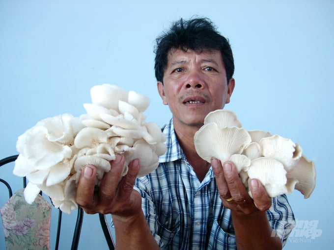 Hiện nay mô hình trồng nấm trong nhà đang rất phổ biến Một người nông dân