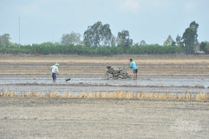 Nước lũ mùa nước nổi ở ĐBSCL đang rút rất nhanh, tạo điều kiện cho nông dân tập trung xuống giống lúa đông xuân chính vụ 2022-2023 theo đúng khung thời vụ được khuyến cáo. Ảnh: Trung Chánh.