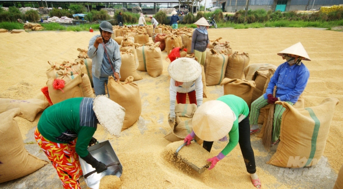 Kế hoạch sẽ triển khai năm nhóm nhiệm vụ và giải pháp chính, thể hiện rõ nét tính minh bạch, trách nhiệm, bền vững trong từng khâu của chuỗi giá trị nông nghiệp.