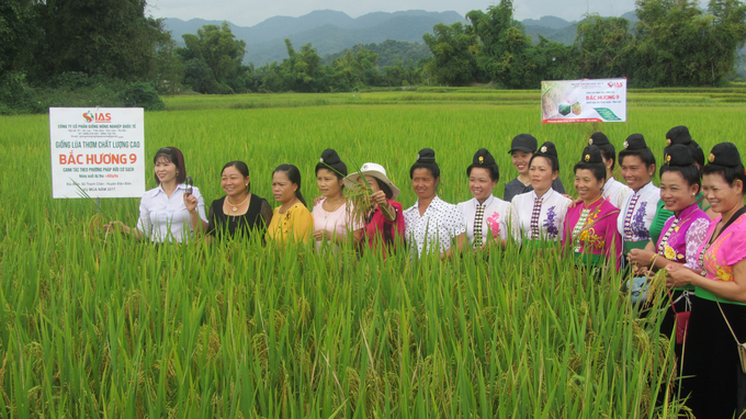 nên bỏ yêu cầu đánh giá chất lượng cơm gạo theo vùng, vụ. Ảnh: MH.