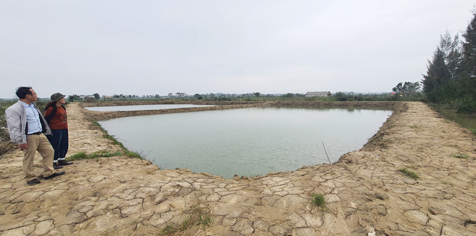 Diện tích hồ nuôi tôm càng xanh trên đất lúa kém hiệu quả ngày càng được mở rộng. Ảnh: T.P