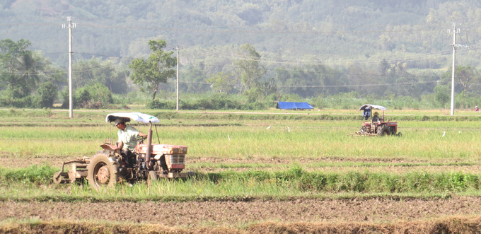 Nông dân xã An Ninh Đông, huyện Tuy An cày ải chuẩn bị gieo sạ lúa đông xuân. Ảnh: LÊ TRÂM