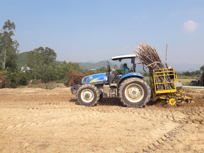 Mechanization of sugar cane cultivation.  Photo: VDT