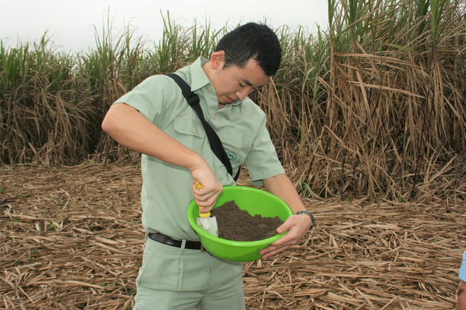 Nhân viên Công ty Phân bón Việt Nhật lấy mẫu đất vùng Đông Gia Lai để phân tích. Ảnh: NMĐCC.