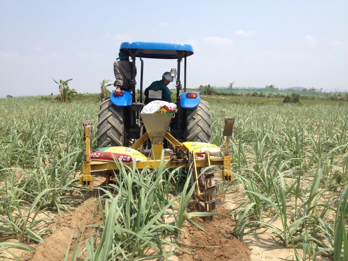 Mechanization in production has helped farmers grow sugar cane