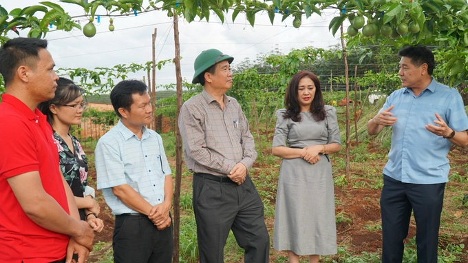 Ông Lê Quốc Thanh (ngoài cùng bên phải) thăm mô hình hoạt động của tổ khuyến nông cộng đồng tại Gia Lai. Ảnh: Tuấn Anh.