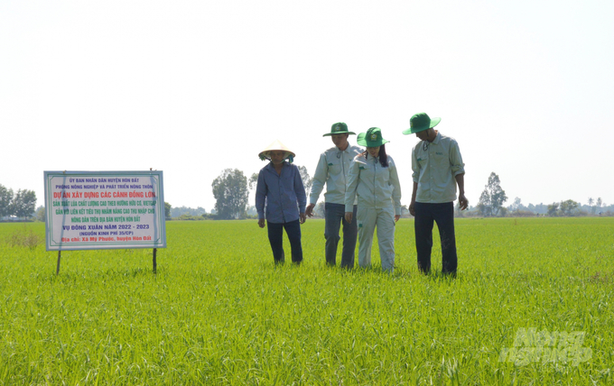 Những cánh đồng lớn sản xuất lúa bạt ngàn in đậm dấu chân Khuyến nông cộng đồng ở Kiên Giang. Ảnh: Trung Chánh.