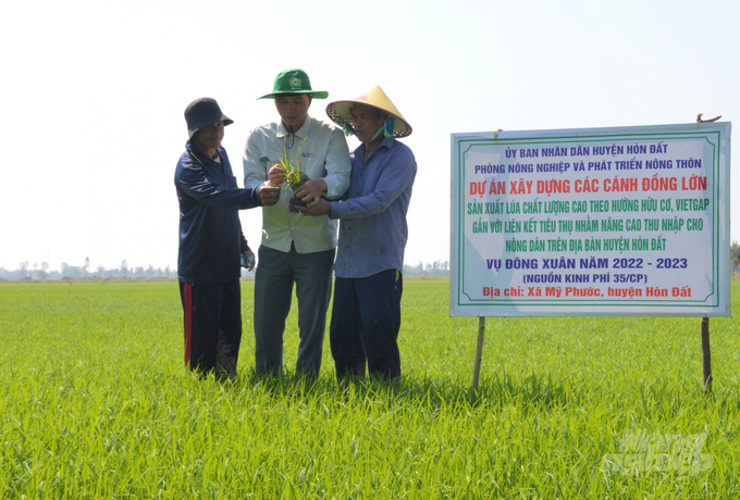 Tổ Khuyến nông cộng đồng được Kiên Giang xác định là một trong những điểm đổi mới quan trọng của hoạt động khuyến nông trong giai đoạn hiện nay. Ảnh: Trung Chánh.