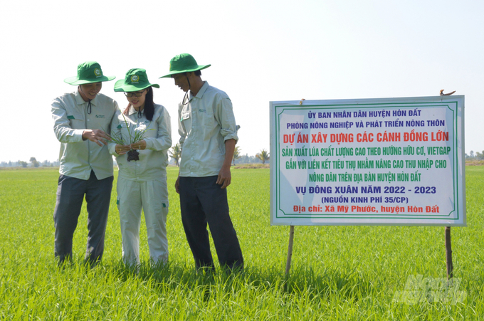Kiên Giang là địa bàn trọng điểm thực hiện Đề án phát triển 1 triệu ha lúa chất lượng cao do Bộ NN-PTNT triển khai tại ĐBSCL, trong đó Tổ Khuyến nông cộng đồng là lực lượng chính triển khai thực hiện. Ảnh: Trung Chánh.