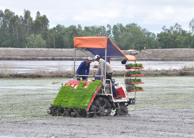 Hoạt động máy cấy lúa trên cánh đồng lớn ở ĐBSCL Ảnh Hữu Đức